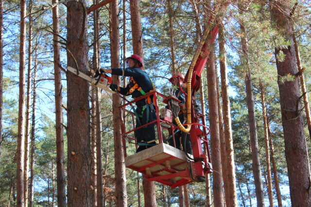 Энергетики Ржевского РЭС Тверьэнерго ведут работы по подготовке энергообъектов и персонала к зимнему сезону пиковых нагрузок на сети