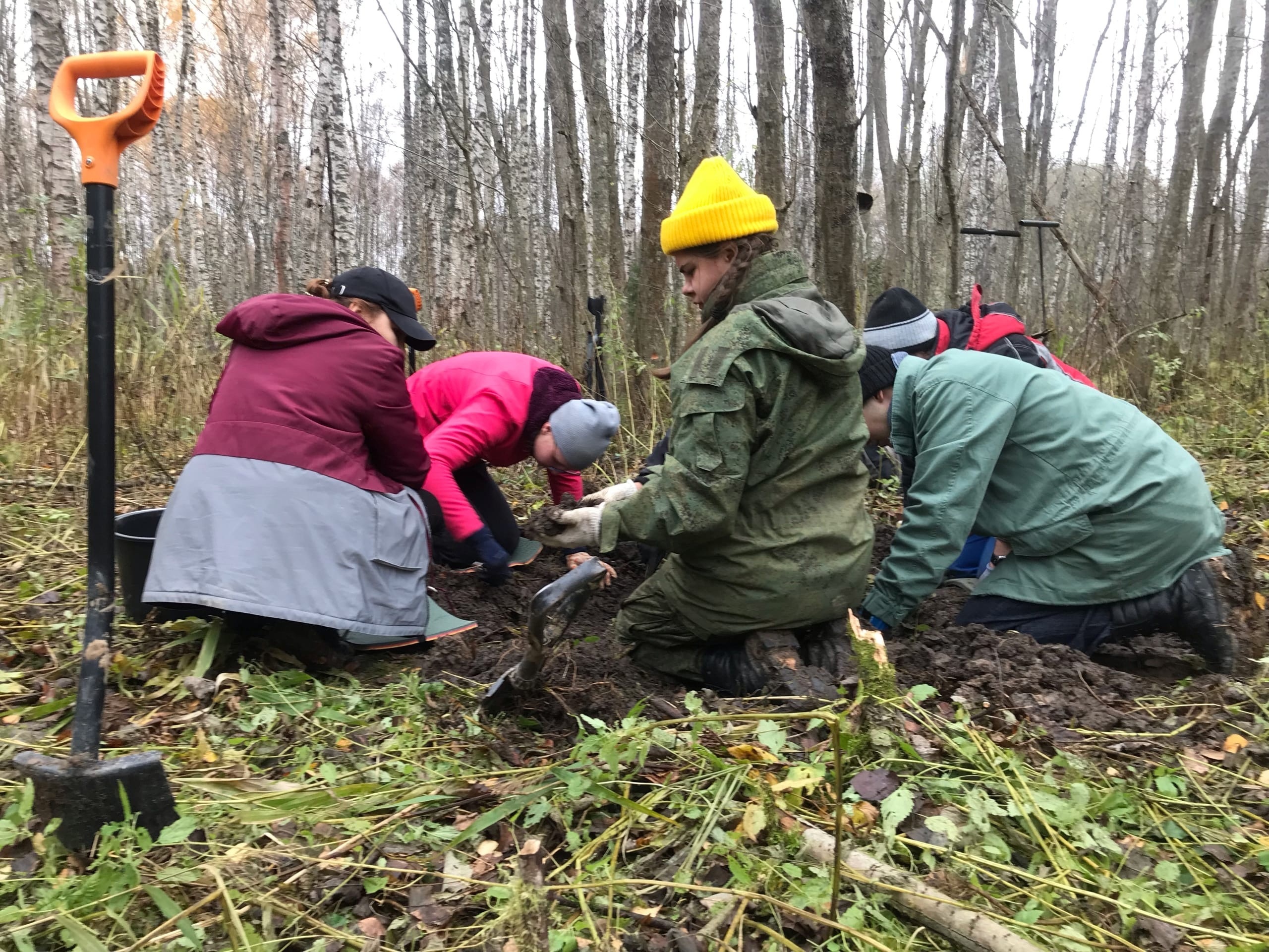 Поисковики установили личность солдата, останки которого были найдены в Тверской области