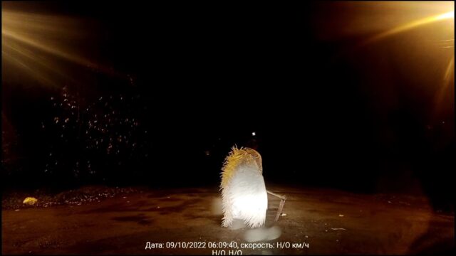 Чудо в перьях: В Твери автолюбители встретили на дороге странную женщину с косой