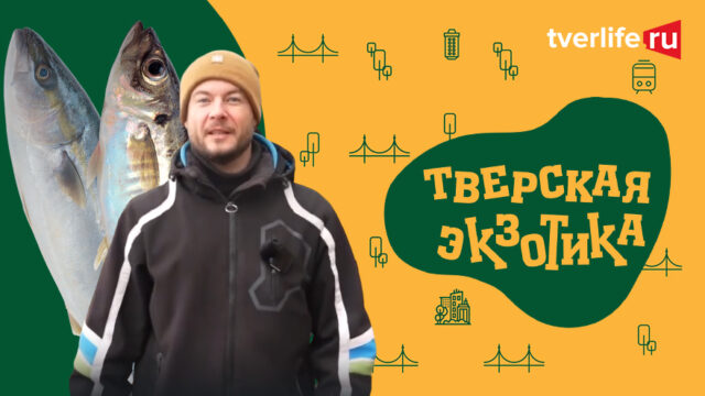 Тверская экзотика. Песьво и Удомля - рыбацкая Мекка Верхневолжья