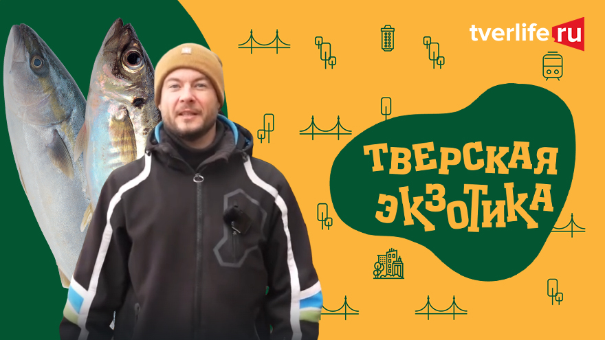 Тверская экзотика. Песьво и Удомля - рыбацкая Мекка Верхневолжья Тверская экзотика. Песьво и Удомля - рыбацкая Мекка Верхневолжья