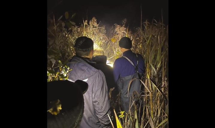 В Кимрах волонтеры спасли потерявшегося в лесу 90-летнего грибника