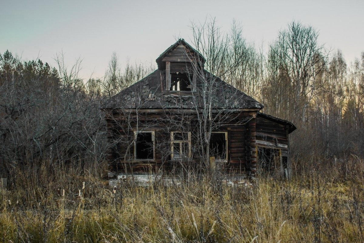 В Тверской области волонтеры помогли вернуться домой заблудившейся в лесу бабушке Вале