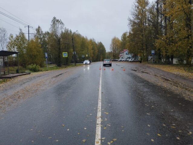 В Тверской области водитель поздно заметила пешехода на переходе