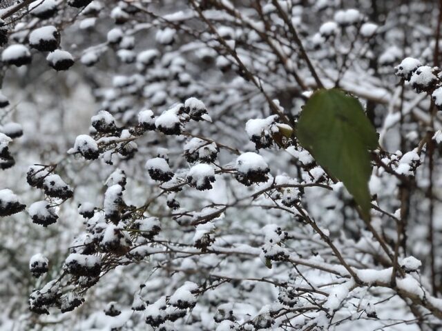 В пятницу погода в Тверской области практически не изменится