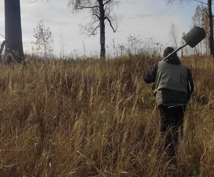 Поисковики обнаружили в Ржевском районе артефакты времен Великой Отечественной войны