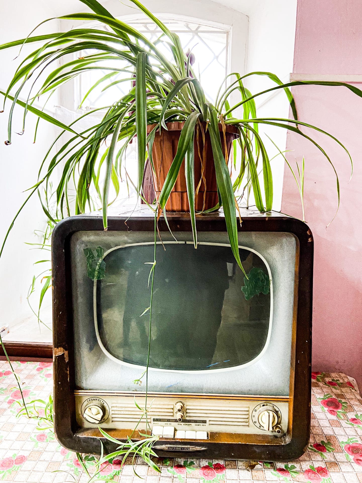 Блогер показала уютную "Советскую кулинарию" в Тверской области