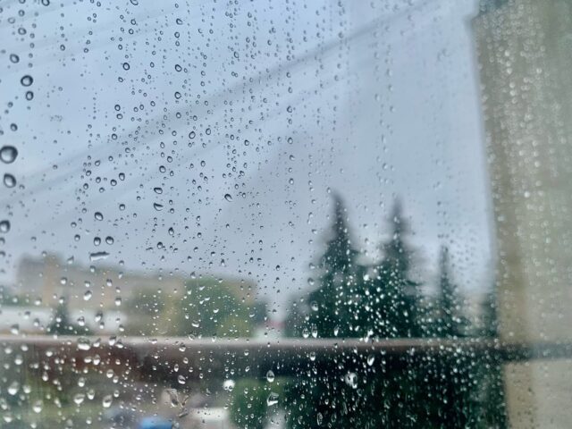 Жителей Тверской области ждет дождливая неделя