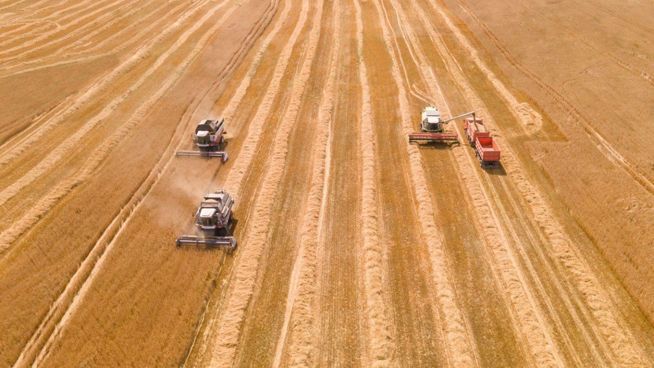 В Тверской области убрано больше 86 тысяч гектар посевной площади