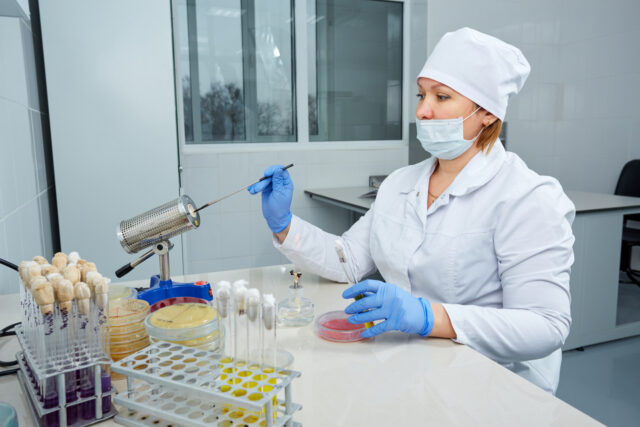 Тверская МВЛ выявила в мясе бактерии кишечной палочки