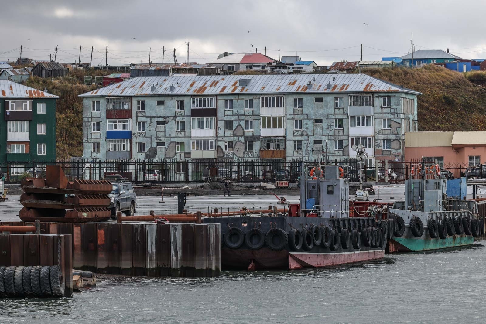 Путешественник из Тверской области поделился фотографиями медвежонка в поселке на Камчатке Путешественник из Тверской области поделился фотографиями медвежонка в поселке на Камчатке