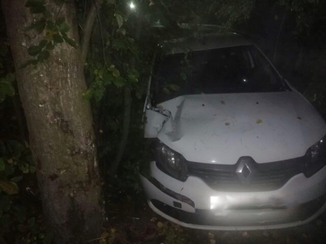 Под Тверью Рено Логан съехал в кювет