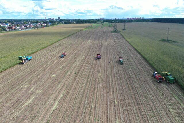 В Тверской области озимыми зерновыми культурами засеяно 22,3 тыс. га