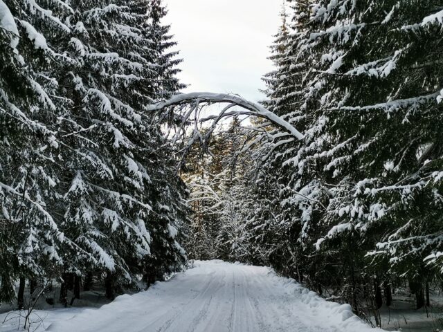 Осташков вошел в ТОП-10 популярных направлений для зимнего отдыха