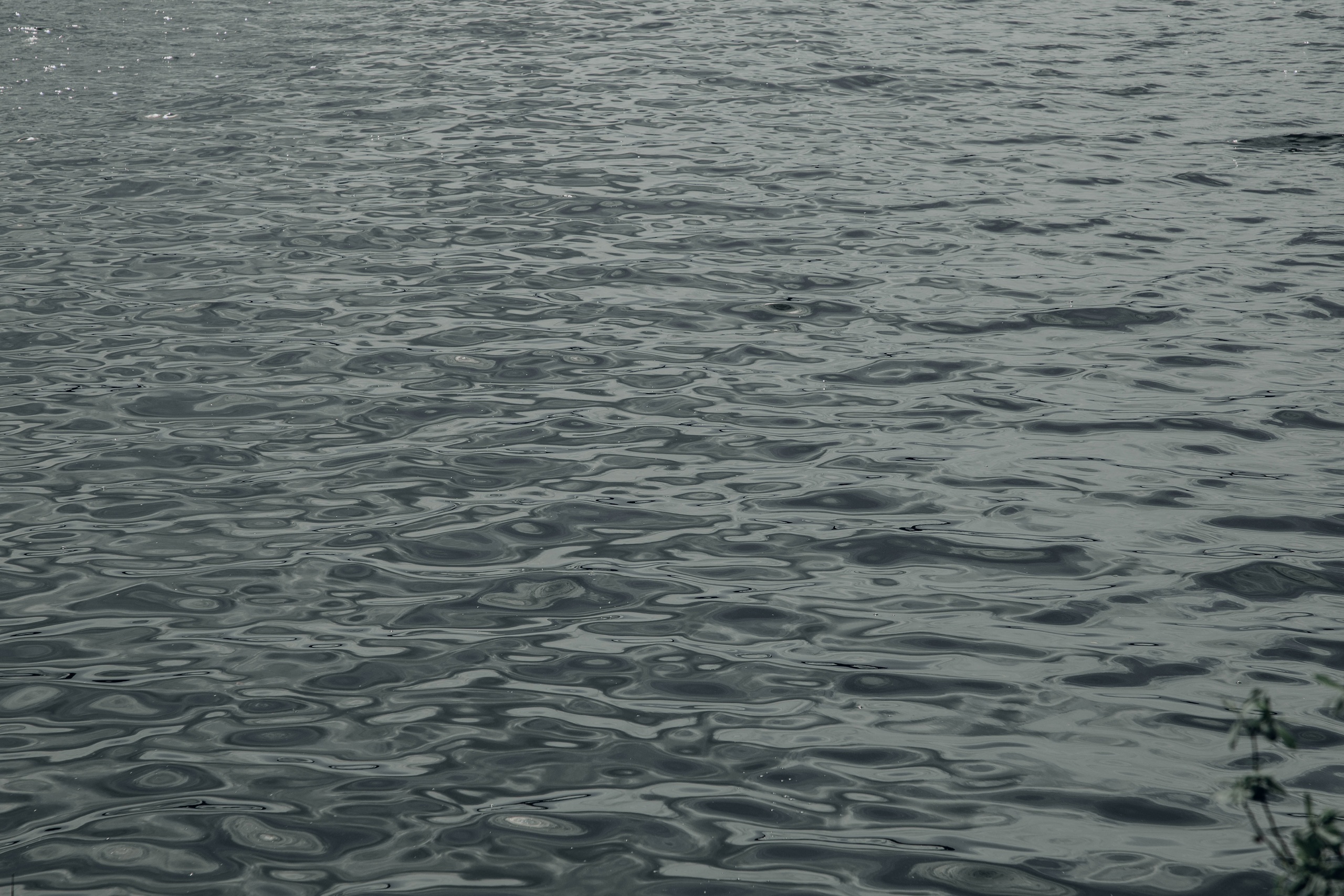 В Тверской области мужчина уехал на рыбалку и не вернулся