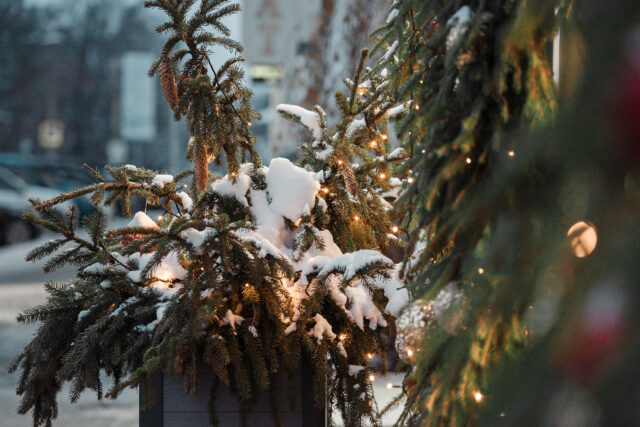 Во вторник в Тверской области вновь похолодает В Тверской области ожидается морозное воскресенье