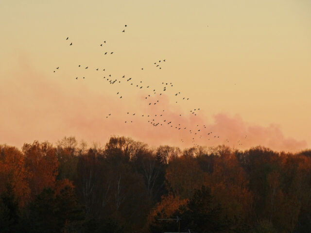 В пятницу в Тверской области прохладно В пятницу в Тверской области прохладно