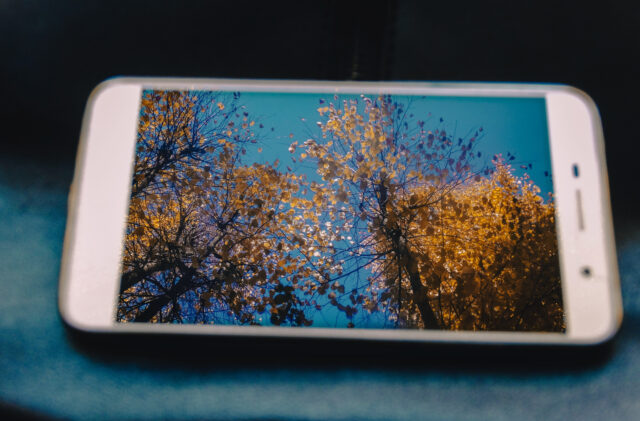 В России температура воздуха в ноябре превысит климатическую норму