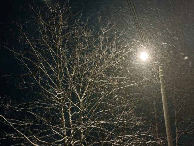 Снег и сильная гололедица ожидаются 3 января в Тверской области