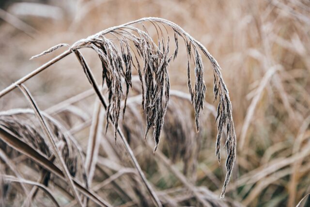В Тверскую область пришли холода