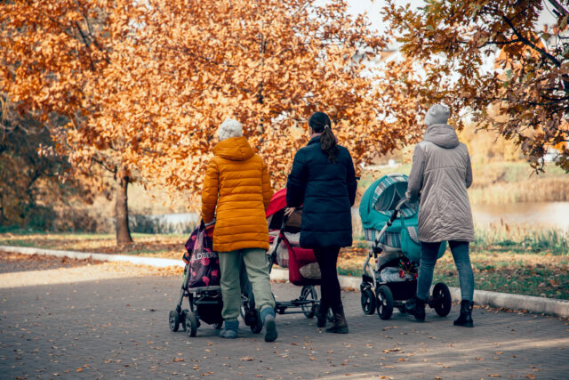 В 2023 году в Тверской области введут единое пособие в связи с рождением и воспитанием ребенка  
