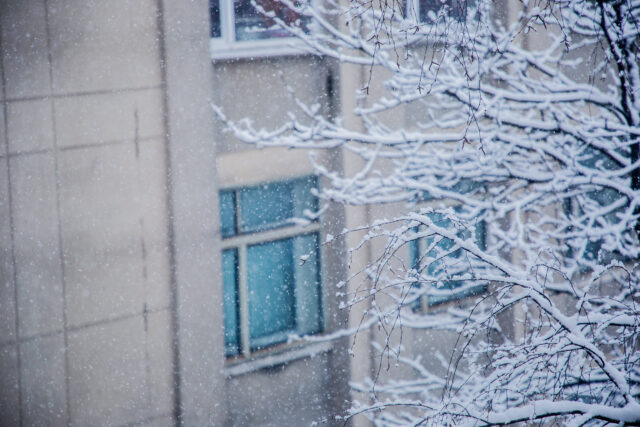 В воскресенье в Тверской области вновь пойдет снег Жителей Тверской области ждет снежная пятница
