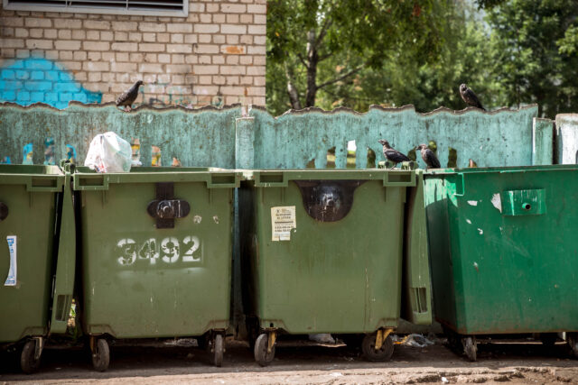 В Тверской области по требованию прокуратуры установят контейнерные площадки для ТКО