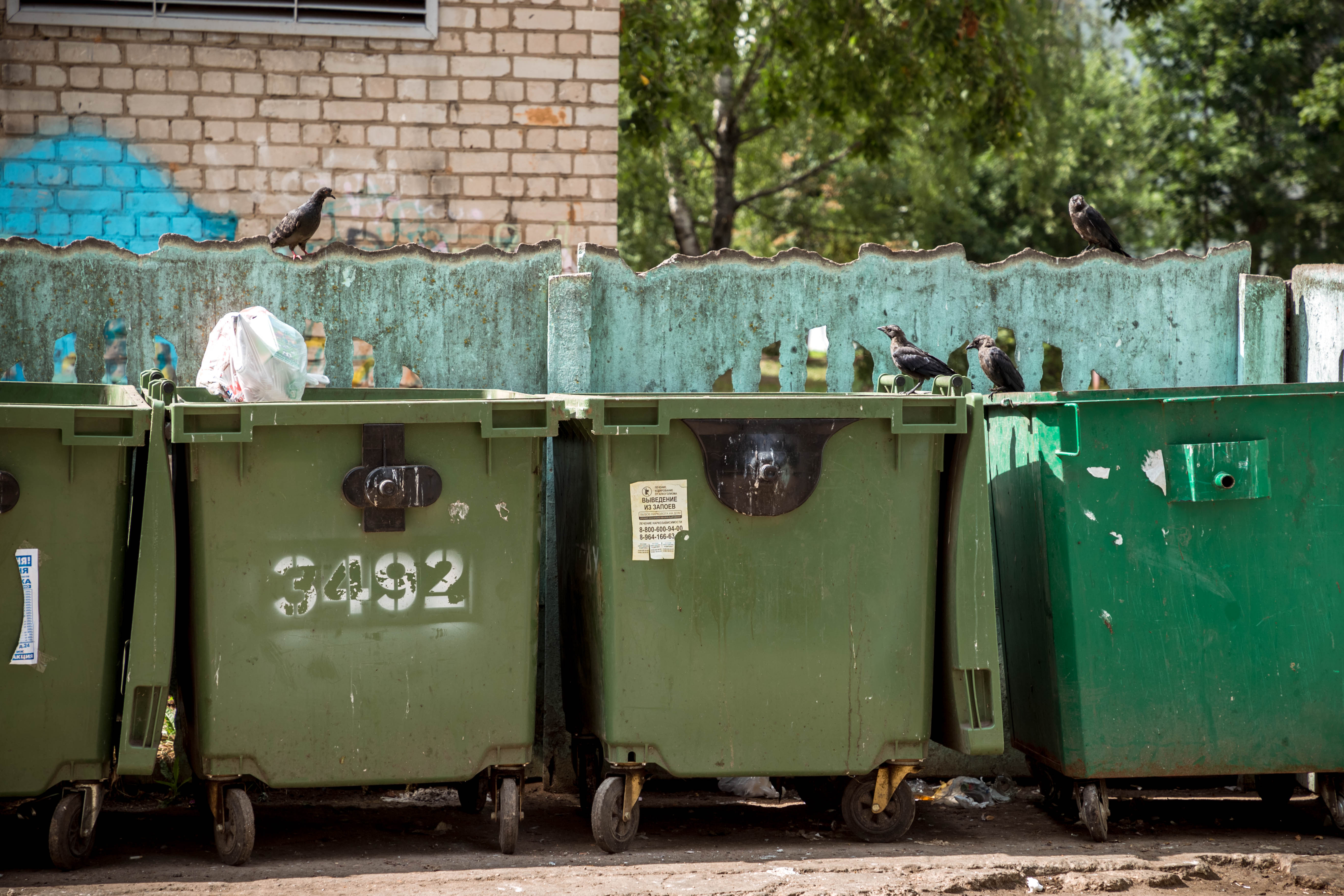 В Тверской области по требованию прокуратуры установят контейнерные площадки для ТКО
