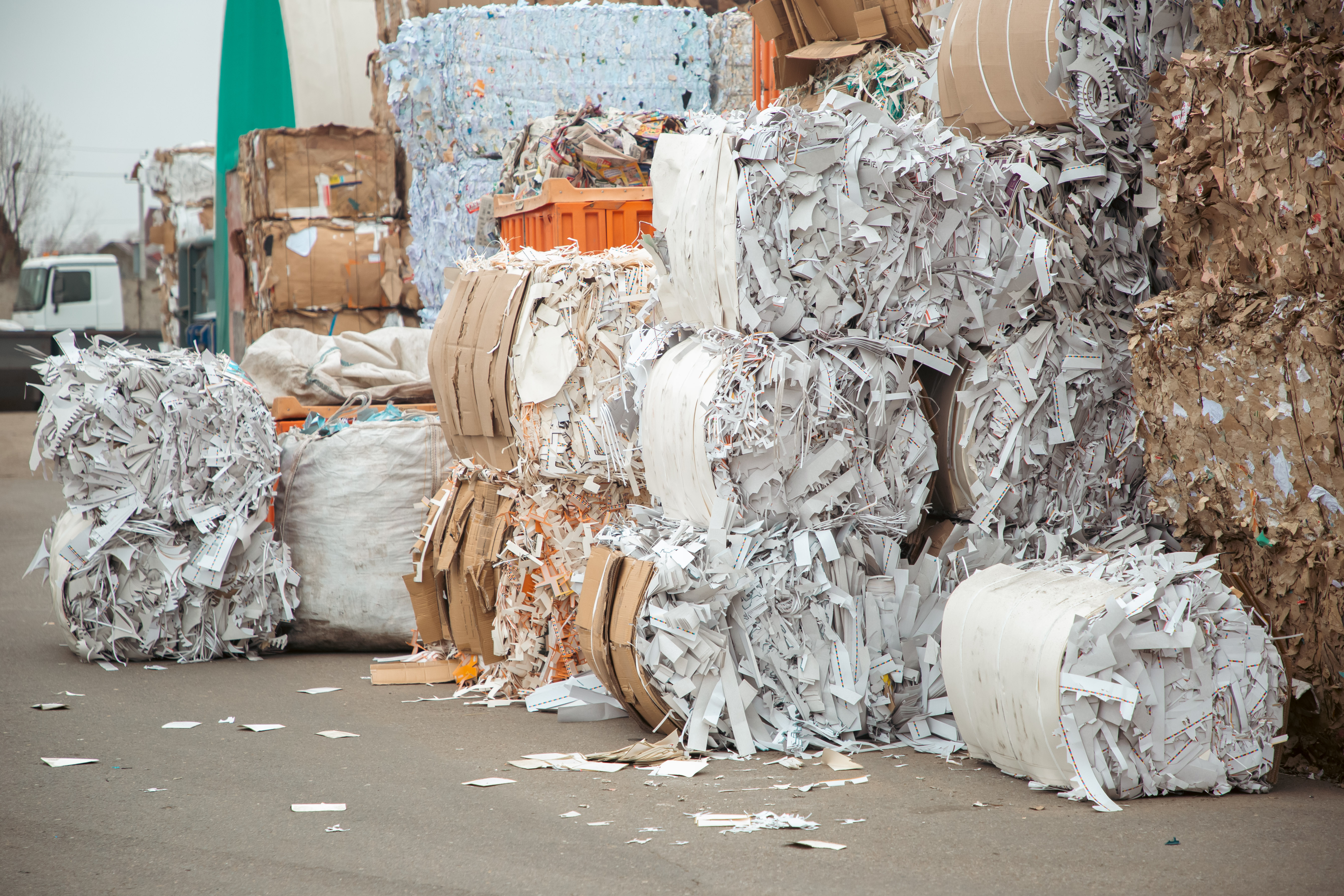 Спасаем деревья: Сотрудники РИА Верхневолжье сдали 150 килограммов макулатуры