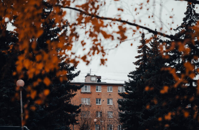 В Тверской области по-прежнему будет пасмурно