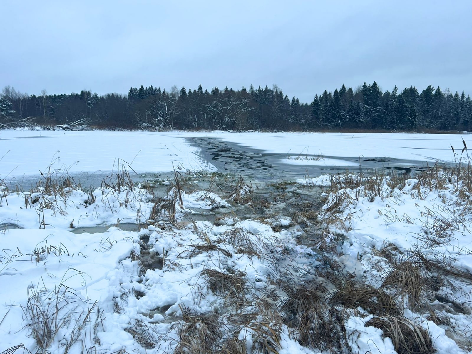 СКР устанавливает обстоятельства смерти мужчины на воде в Тверской области