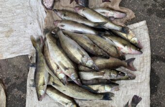 В Тверской области мужчина ловил рыбу запрещенными сетями В Тверской области мужчина ловил рыбу запрещенными сетями