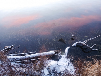 В Тверской области обнаружили маслянистое пятно на поверхности Волги