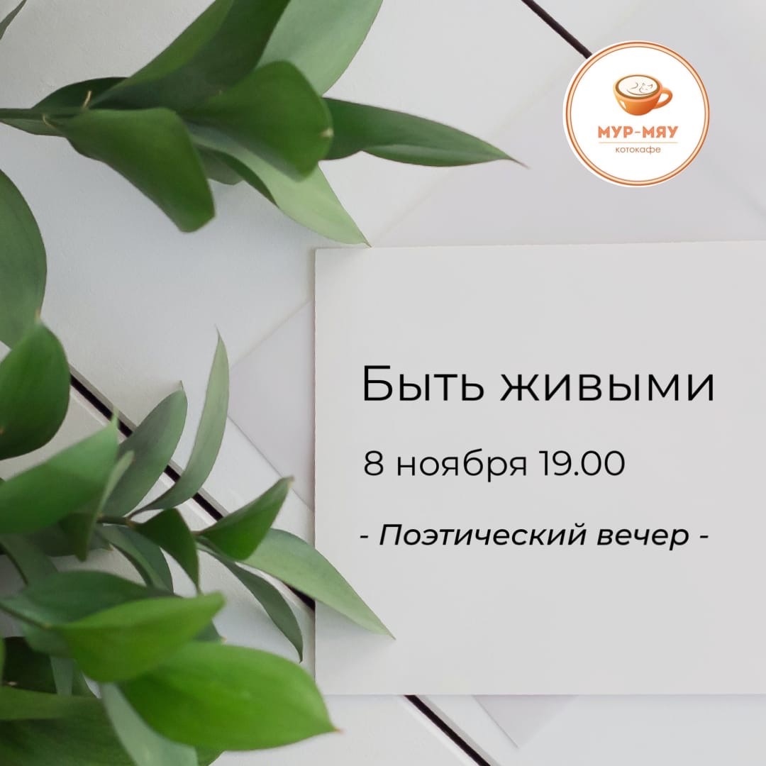 Тверское котокафе приглашает на поэтический вечер Тверское котокафе приглашает на поэтический вечер