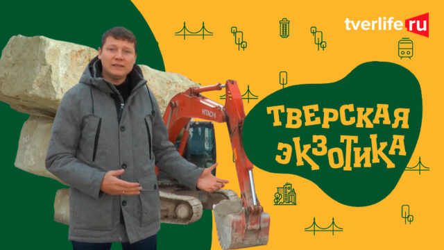 Тверская экзотика. Окаменелости Старицких карьеров