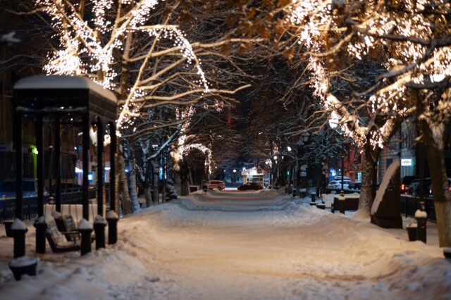 Стало известно, как украсят Тверь к Новому году