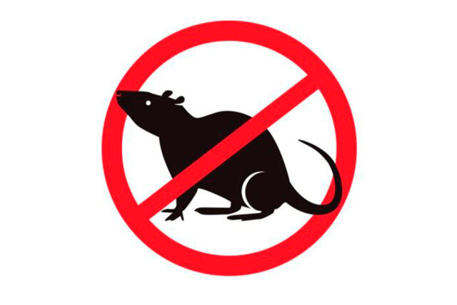 С начала текущего года сотрудниками ФГБУ «Тверская МВЛ» обработано свыше 94 тысяч квадратных метров площадей в рамках борьбы с грызунами С начала текущего года сотрудниками ФГБУ «Тверская МВЛ» обработано свыше 94 тысяч квадратных метров площадей в рамках борьбы с грызунами