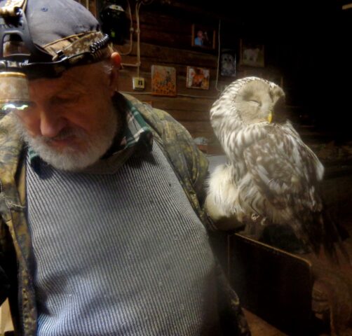 Жители Нелидова спасли сову Жители Нелидова спасли сову