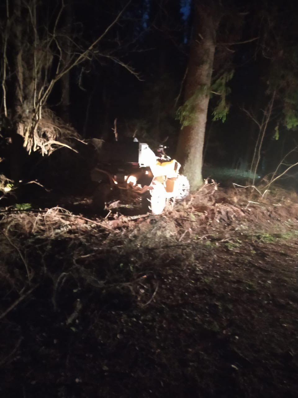 В Тверской области девушка на квадроцикле протаранила дерево