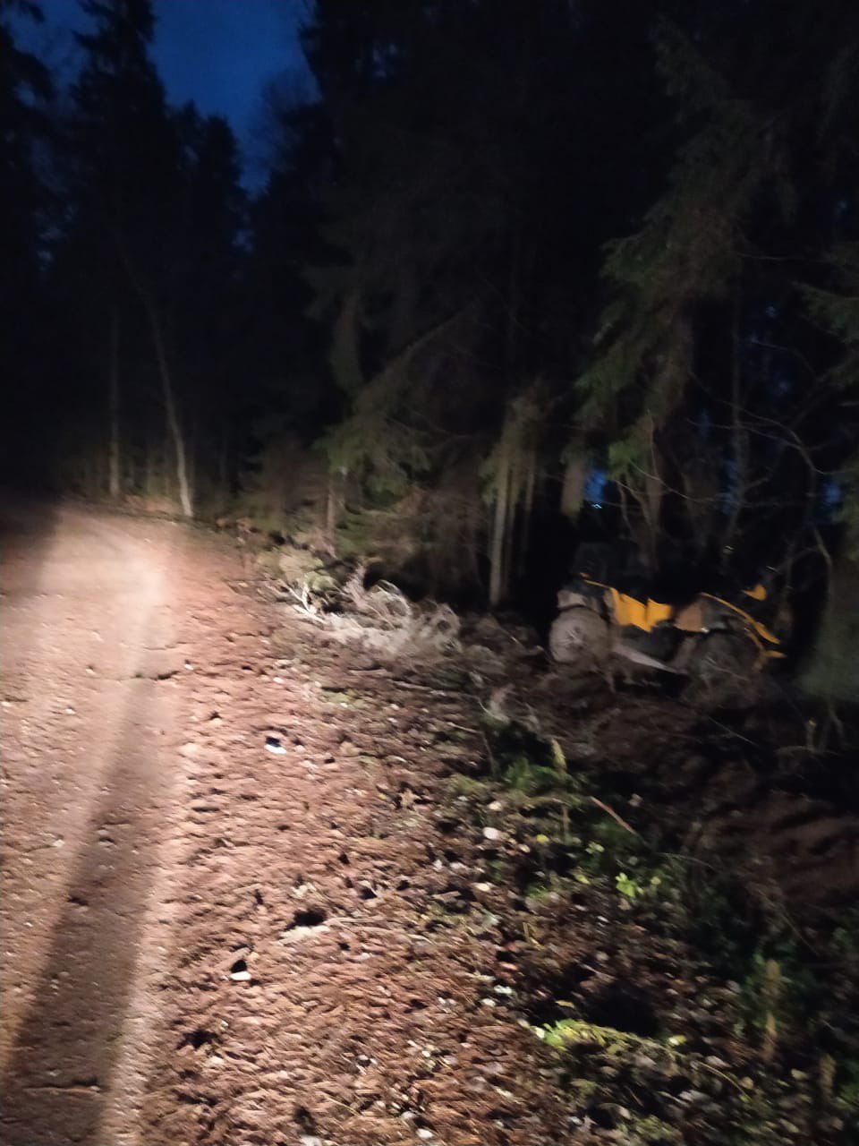 В Тверской области девушка на квадроцикле протаранила дерево