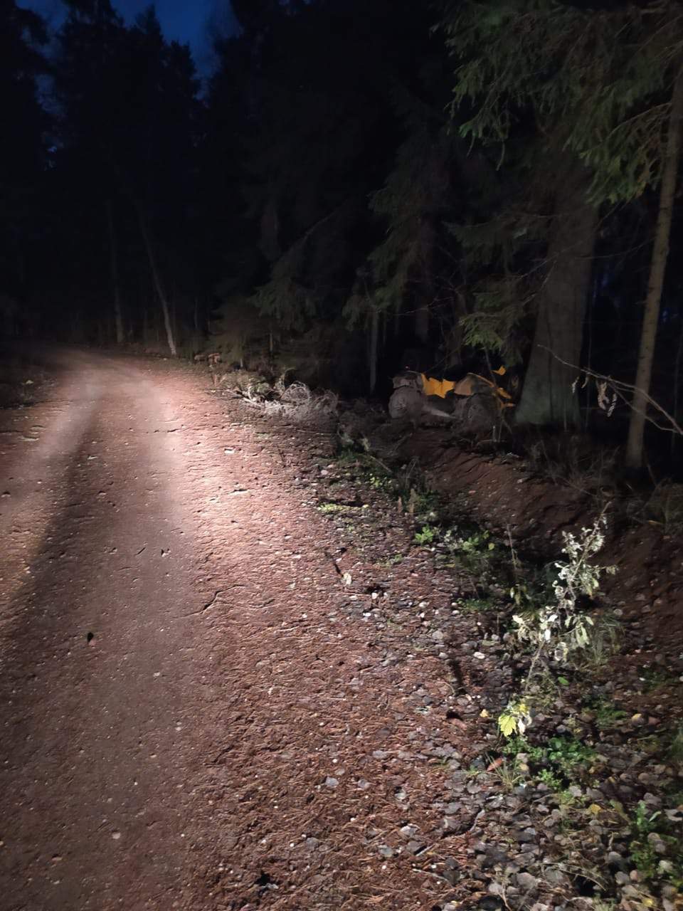 В Тверской области девушка на квадроцикле протаранила дерево