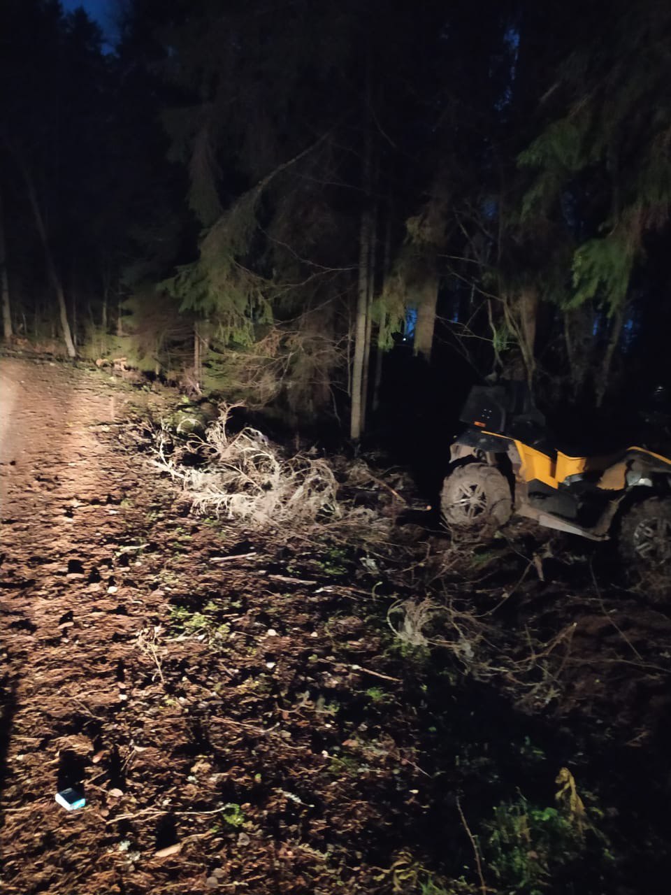 В Тверской области девушка на квадроцикле протаранила дерево
