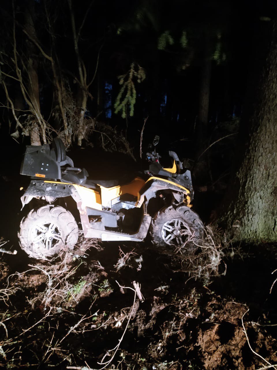 В Тверской области девушка на квадроцикле протаранила дерево