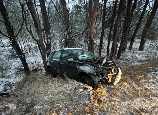 В Тверской области иномарка съехала в кювет В Тверской области иномарка съехала в кювет