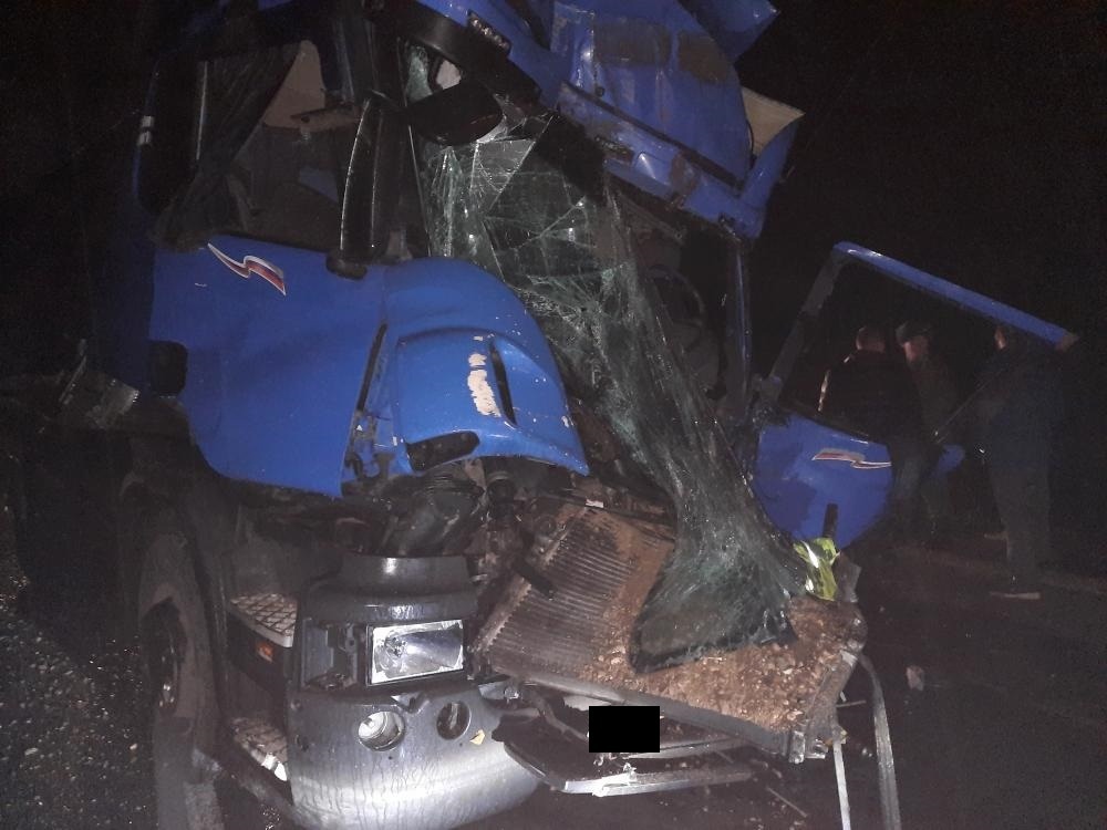 В Тверской области столкнулись две фуры Scania В Тверской области столкнулись две фуры Scania