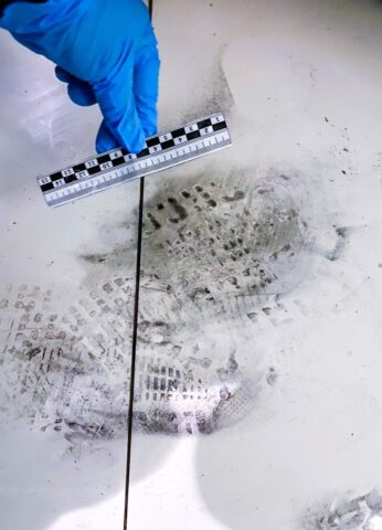 В Твери арестован подозреваемый в убийстве В Твери арестован подозреваемый в убийстве