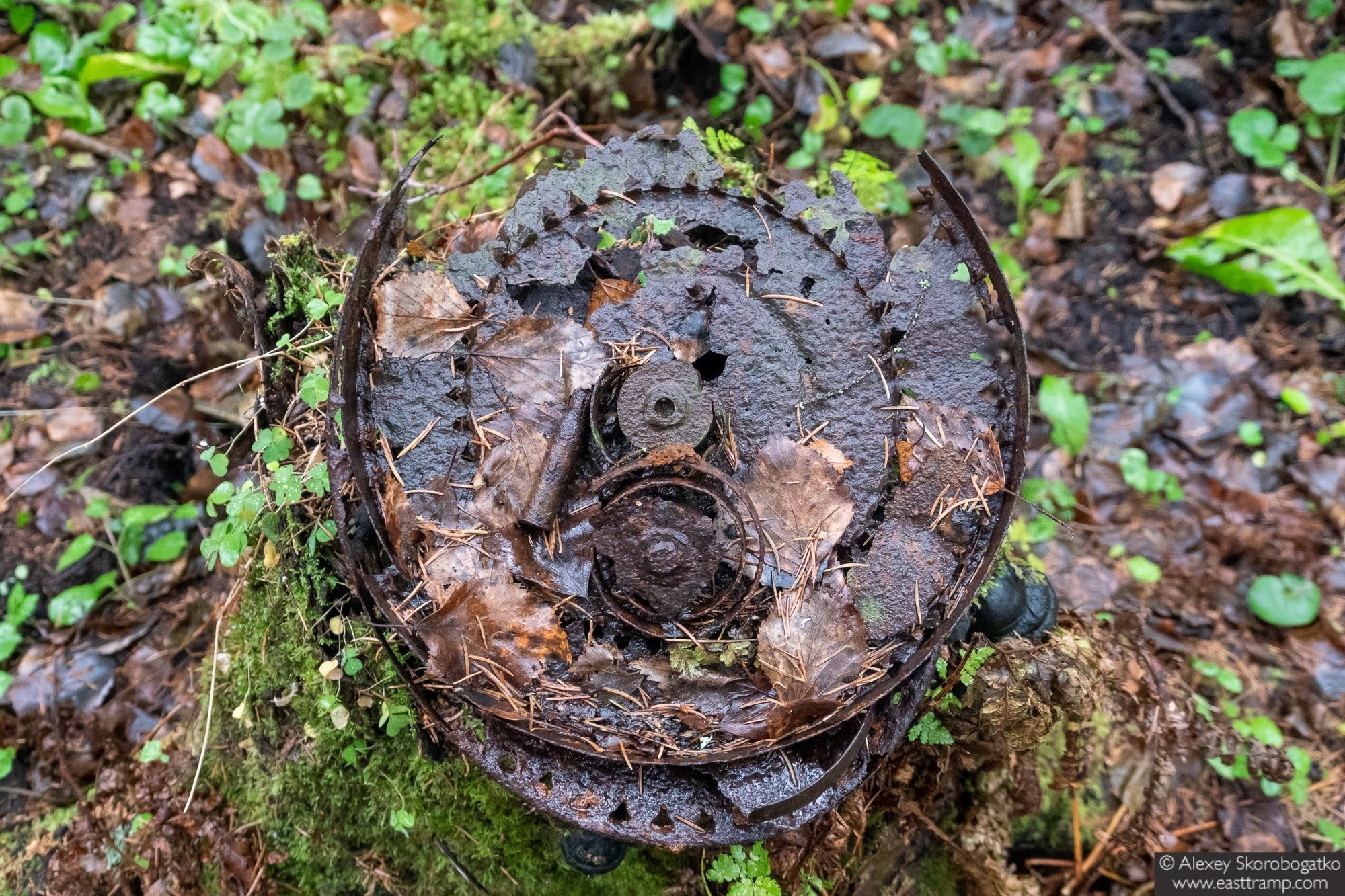 В Тверской области стартовал Ноябрьский этап Бельской поисковой экспедиции