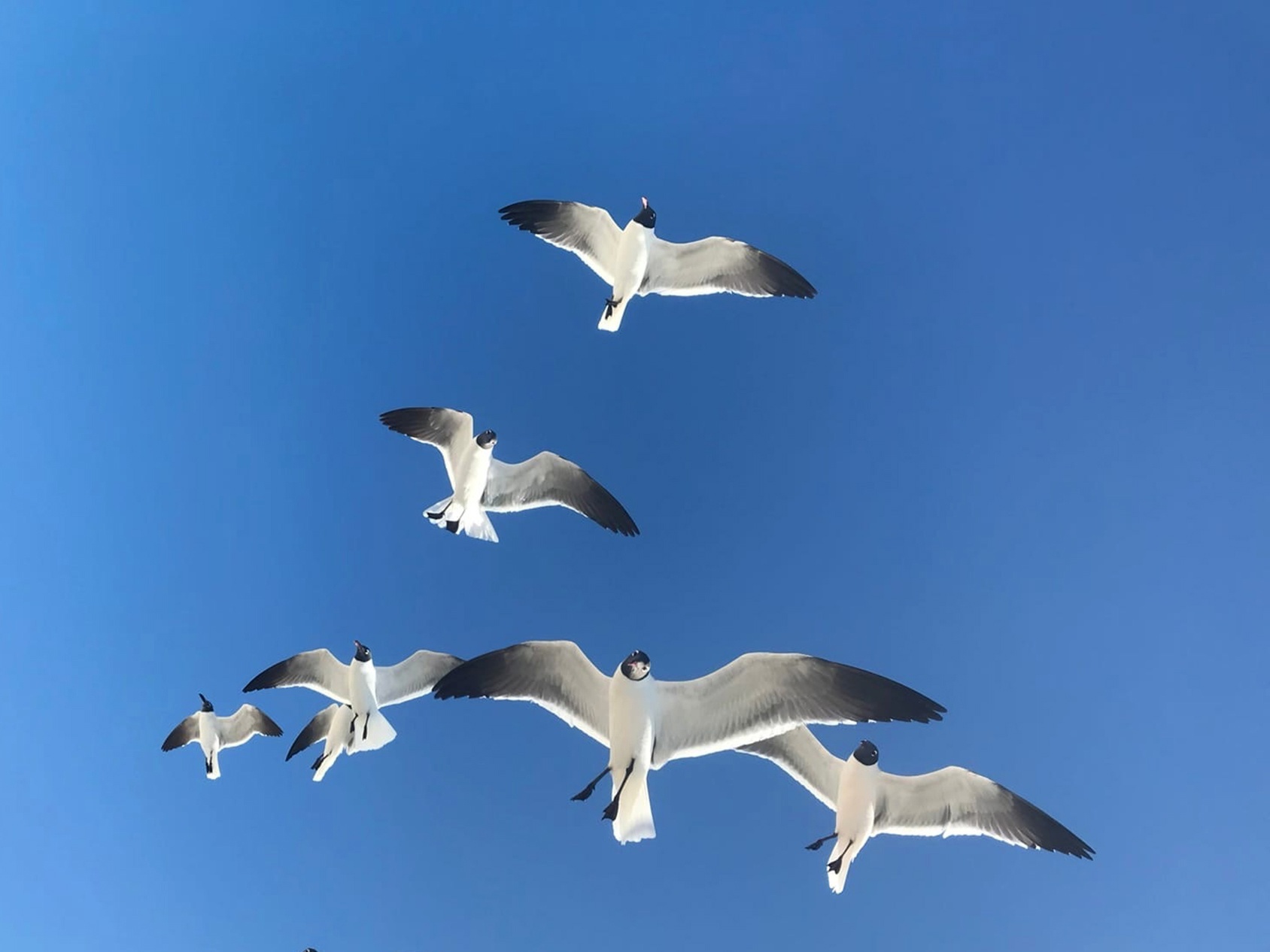 Ребята из Тверской области могут принять участие во Всероссийском медиафестивале "Моряна"