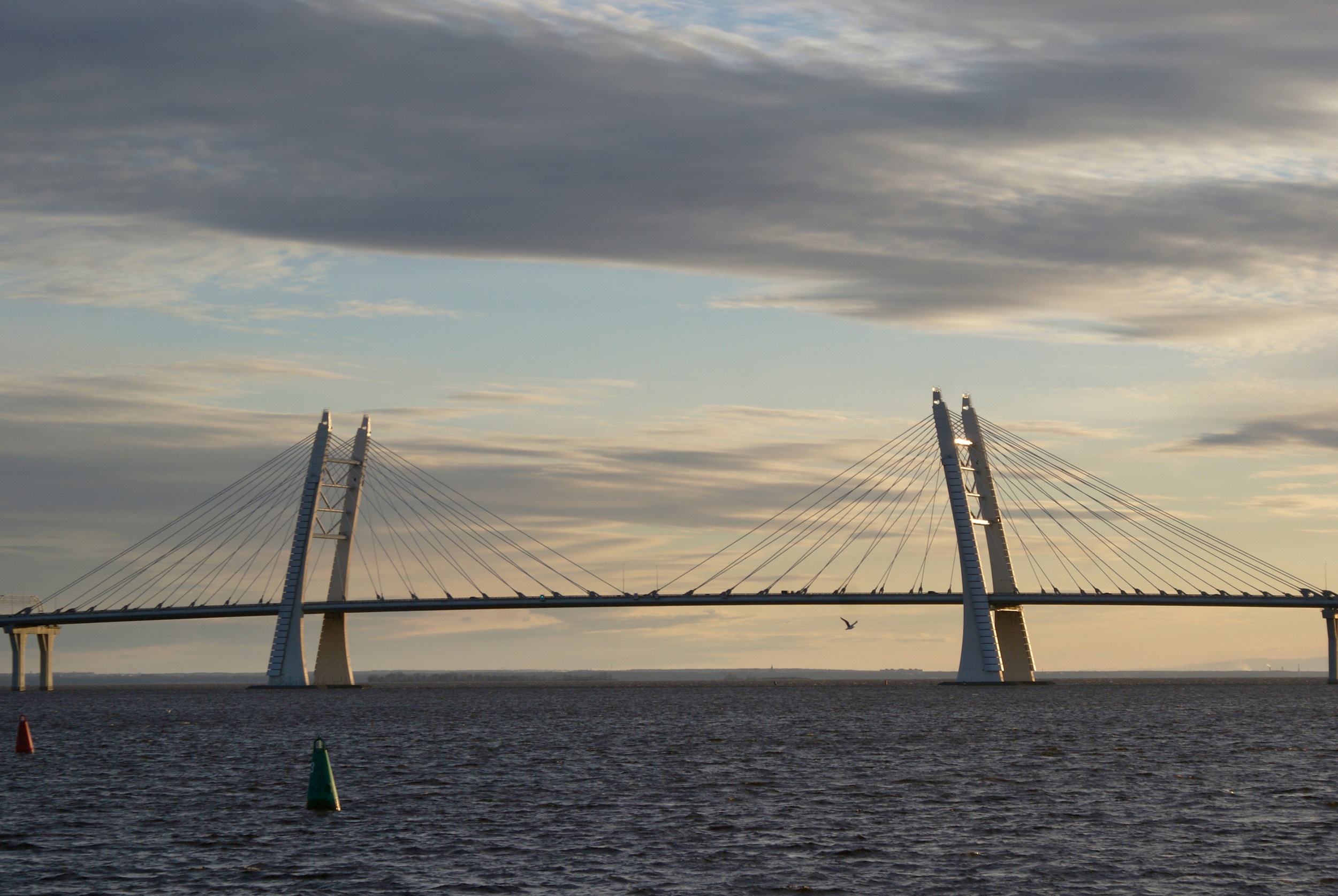 Ребята из Тверской области могут принять участие во Всероссийском медиафестивале "Моряна"