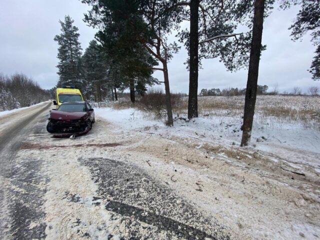 В Тверской области невнимательный водитель врезался в дерево В Тверской области невнимательный водитель врезался в дерево